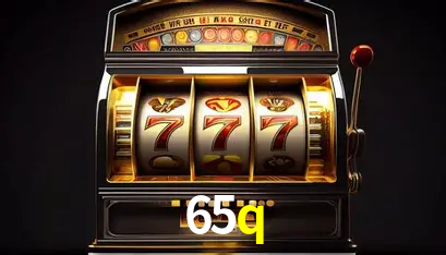 65q,65q.com