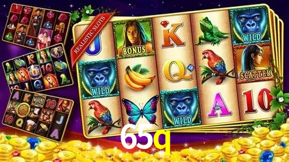 65q,65q.com